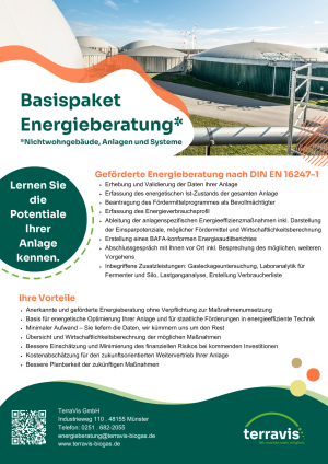 OnePager_Energieberatung_Basis und Anschl